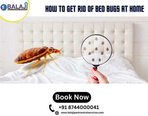 How To Get Rid Of Bed Bugs At Home By Balajipestcontrolservices Medium
