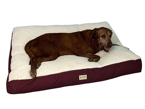 Top 5 Best Dog Beds For Corgis In 2020 Best Dog Care Tips