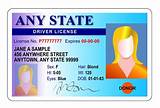 How To Get A Florida Security D License