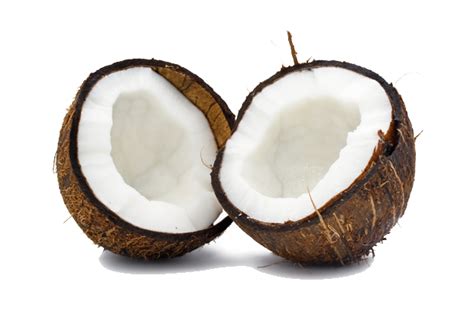 Coconut Png Transparent Images Png All
