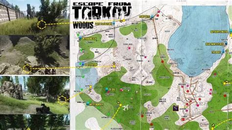 žrtve prireditev Šinkan woods escape from tarkov map Marquee Teorija