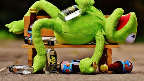 Funny Expression Kermit Frog Glass Bottles Lying Wooden Bench Drink
