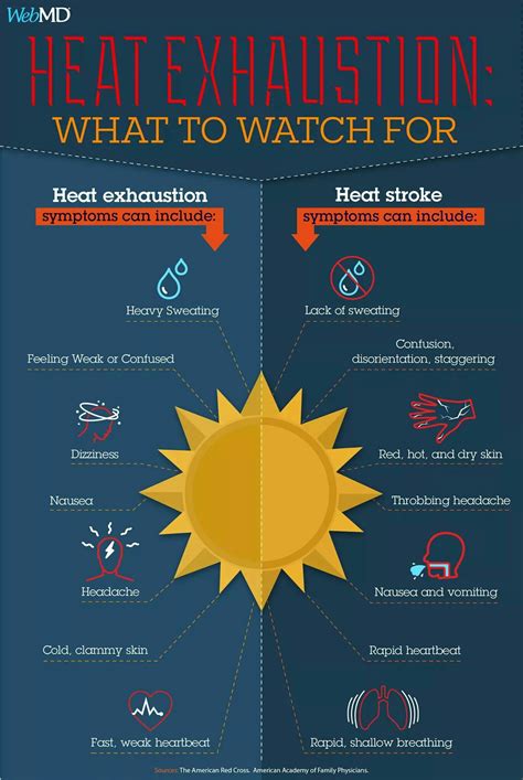 Heat Exhaustion Vs Heat Stroke Health And Safety Health And Wellness