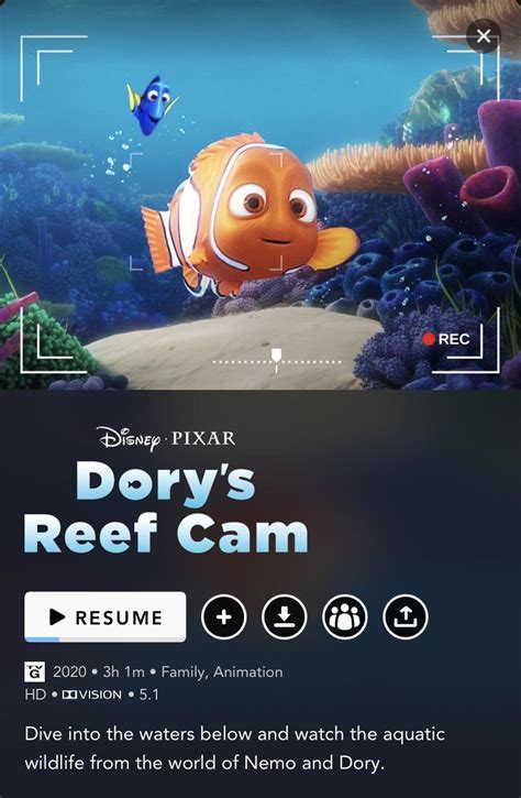 Dorys Reef Cam Is Now Streaming On Disney Rpixar