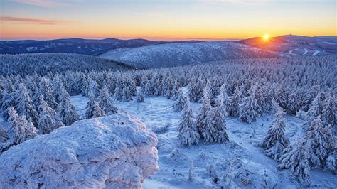 Snow Covered Trees In Snow Field Hd Winter Wallpapers Mount Eggli