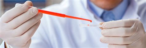 Can you buy a dna test from walgreens online? How Much Does DNA Testing Cost - Top 10 DNA Tests