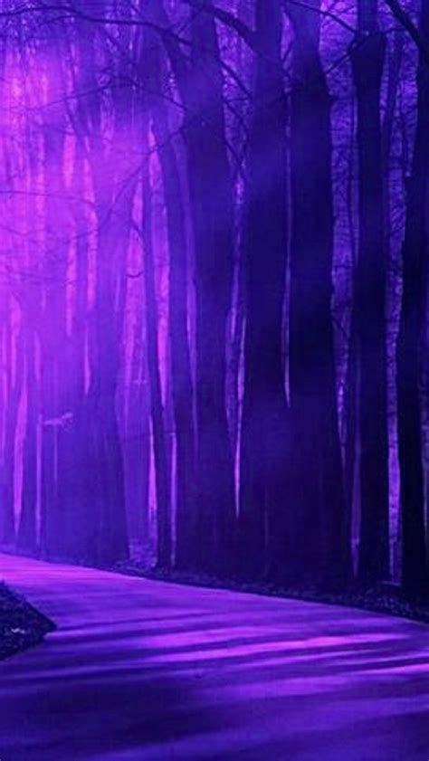 Free Download Landscape Purple Forest High Quality Background Pictures