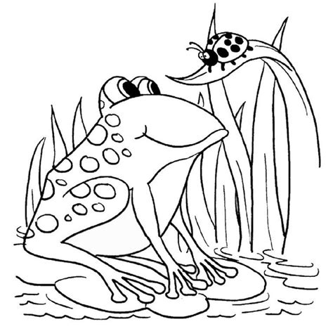 41 Great Images Coloring Pages Of Cute Frogs Free
