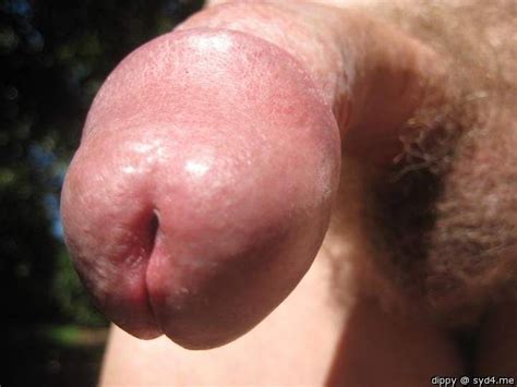 Close Up Cock Head Squirting Cum Cumception