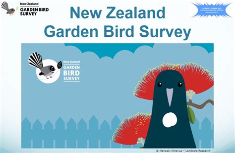 Te Tatauranga O Ngā Manu Māra O Aotearoa The New Zealand Garden Bird