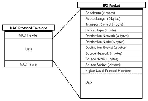 Structure Of A Data Packet
