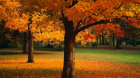 Die 83 Besten Herbstliche Landschaft Hintergrundbilder Hd