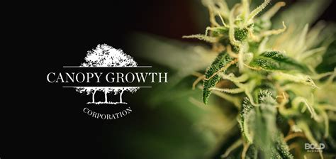 Is cutting ties with its venture capital arm, canopy rivers inc., as the investment company continues to struggle with a number of poorly performing assets and massive losses on a. Canopy Growth Corporation: Diversifying Product and ...