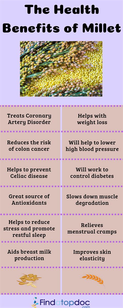 7 Impressive Health Benefits Of Millet And Recipe