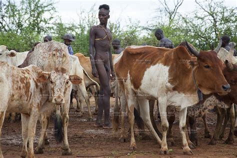 Naked Ethiopian Man Telegraph