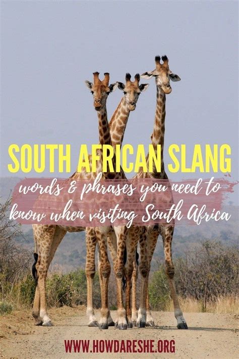 Lekker Bru South African Slang And Words You Need To Know In South