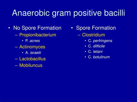 Ppt Anaerobes Powerpoint Presentation Free Download Id2971015