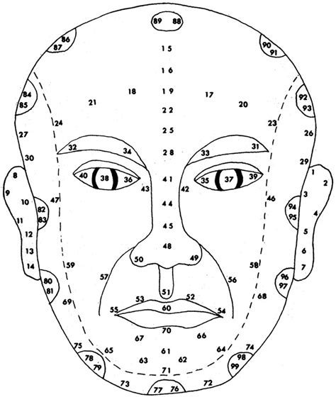 Face Positions Drawing At Getdrawings Free Download