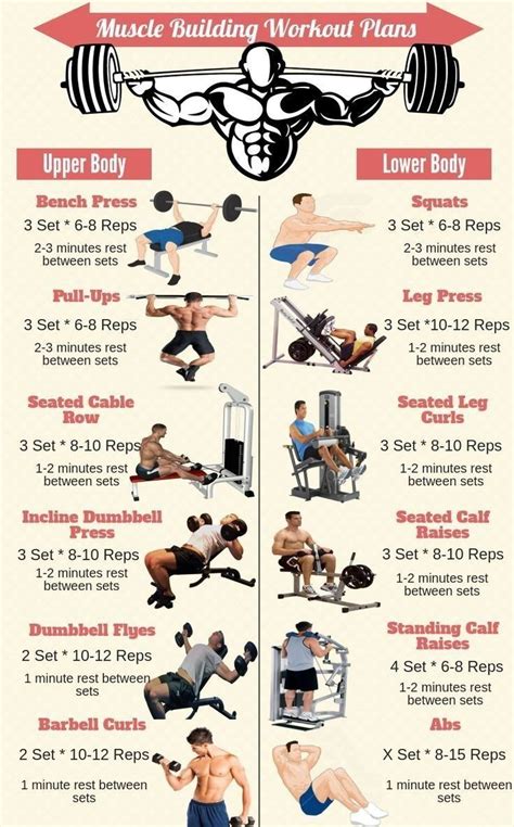 Full Body Gym Workouts Chart Gym Workouts Tips Fullbodyworkout