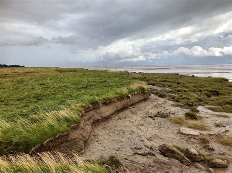 Nith Estuary Salt Marshes Caerlaverock © David Dixon Cc By Sa20
