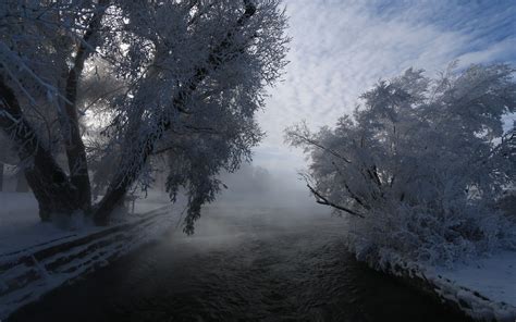 Shrubs Winter Nature 1080p Cold Clouds River Frost Trees Snow