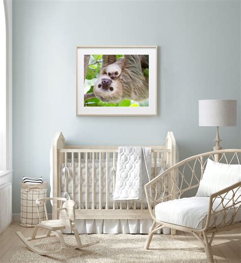 Sweet Mom And Baby Sloth Photo Baby Animal Prints By Suzi
