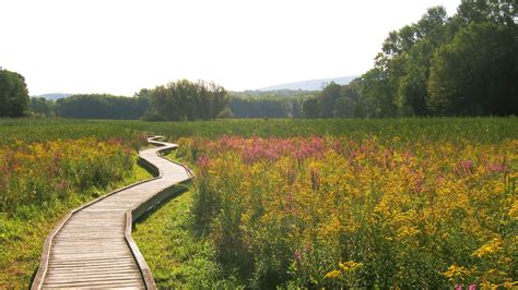 New Jersey Appalachian Trail Conservancy