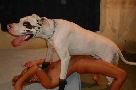 Mujeres Teniendo Sexo Con Burros Y Perros Hot Girls Pussy Free Hot Nude Porn Pic Gallery