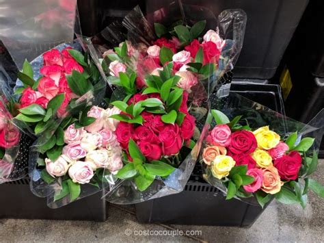 2018 Valentines Day Roses
