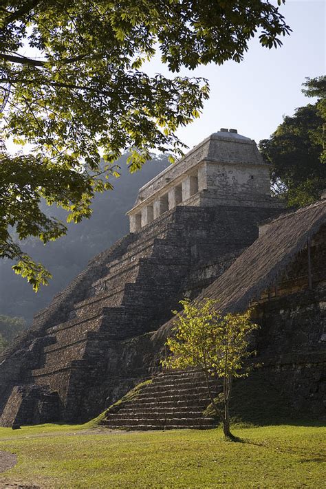 Mexico Chiapas Palenque Mayan Temple Of Inscriptions By Frans Lemmens