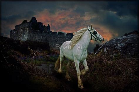 The White Gypsy Rover By Brian Tarr Redbubble
