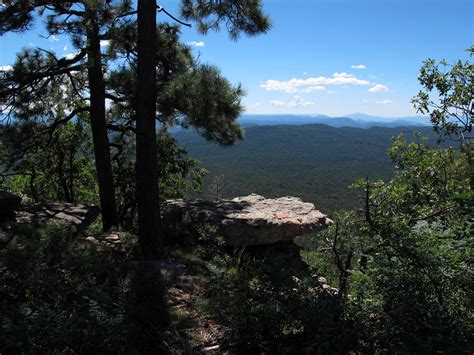 Try lures such as panther martins or kastmasters, or bait, especially nightcrawlers. Elevation of Christopher Creek Loop, Payson, AZ, USA ...
