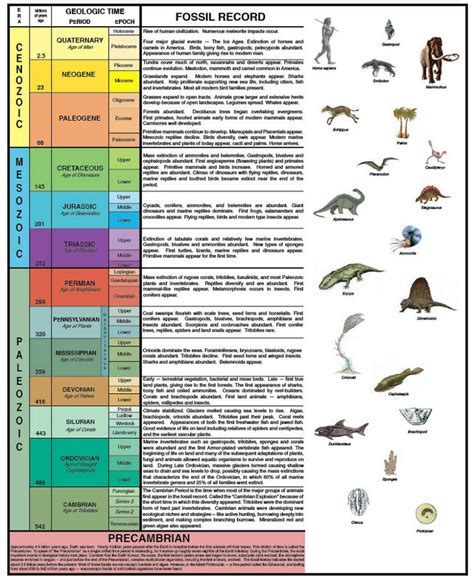 Geologic Time Scale 8th Grade Science Geologic Time Scale Geology