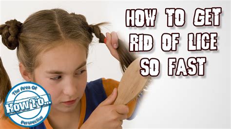 How To Get Rid Of Lice So Fast Youtube