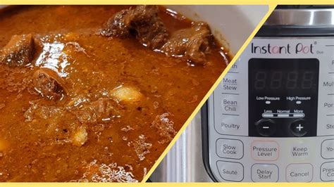 Easy Peasy Shahi Beef Qorma With Homemade Qorma Masala In Instant Pot