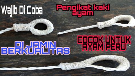 Ayam peru, atau ayam peruvian adalah salah satu jenis ayam yang banyak dimiliki untuk kepentingan adu ayam atau sabung ayam. Cara Membuat Tali Ayam Cocok Semua Untuk Jenis - YouTube