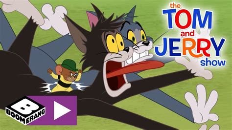 Tom Jerry Cartoon Network Youtube Masawidget
