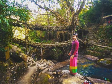 Travel To The Mystical Dzukou Valley And Living Root Bridges Nomads