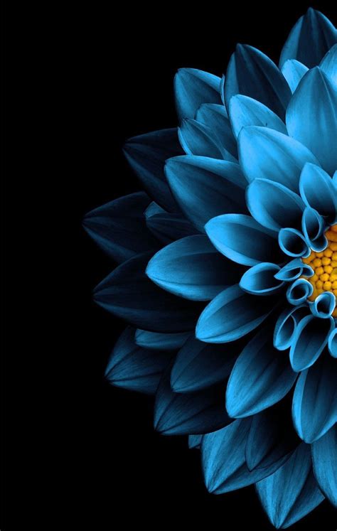 Aesthetic Blue Flower Wallpaper Desktop