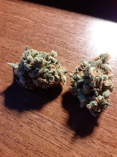 You Can Keep Can Keep Your Stardawg Follow Up To My Stardog Post