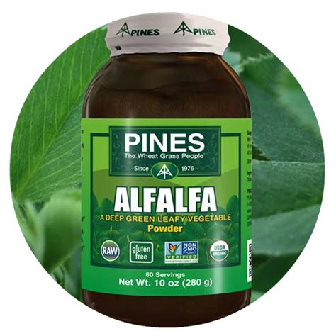 Traditional use and health benefits. Super Food Highlight: Benefits of Alfalfa | Balanced Babe