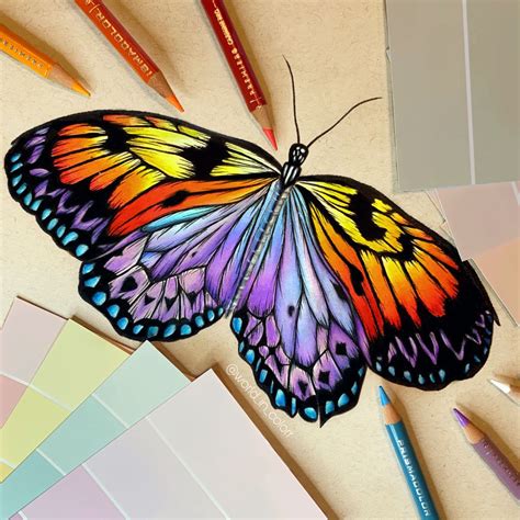 Butterfly Drawing Butterfly Drawing Butterfly Art Colored Pencil
