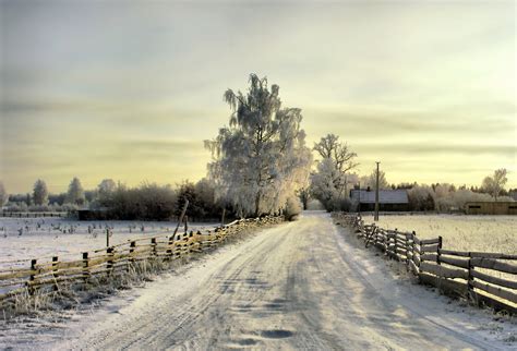 Winter In Lithuanian Village 2008 Photo And Image Landscape Seasons