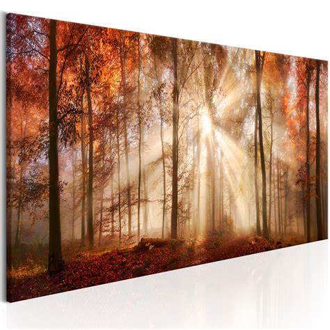 Forest Nature Canvas Print Framed Wall Art Picture Photo Image C B