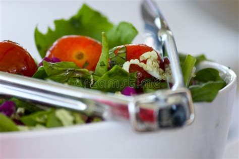 Fresh Garden Salad In A Bowl Stock Image Image Of Lunch Salad 12243095