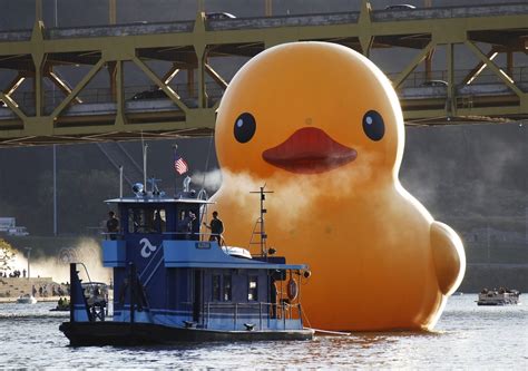 Worlds Biggest Rubber Duck Makes Its Usa Debut