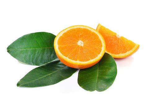 Orange Fruit Stock Photo Image Of Isolated Nutritious 57344108