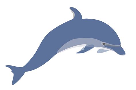 Dolphin Clipart Dolphin Love Dolphin Dolphin Love Transparent Free For