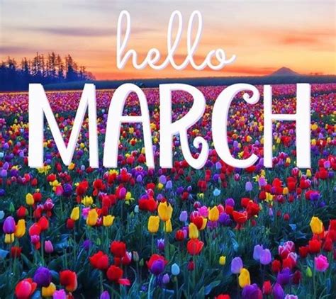 Hello March Wallpaper Hello March March Quotes Hello March Images