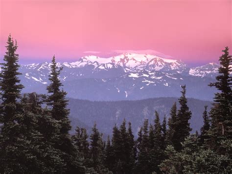 Sunrise Over Mount Olympus Olympic National Park Washington Picture